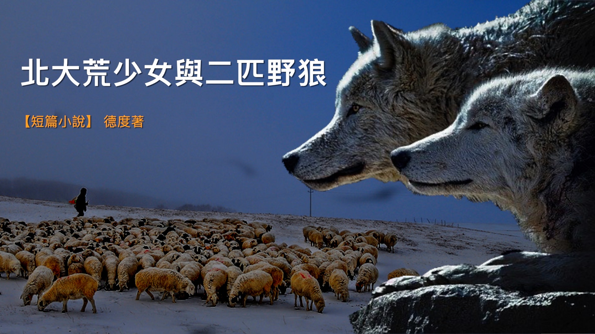 北大荒少女與二匹狼